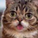 jessica maria profile picture